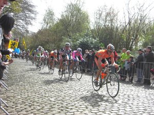 Flandern-Rundfahrt 2736